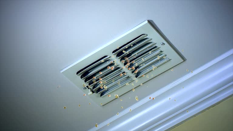 HVAC System Cleaning in West Little River, FL