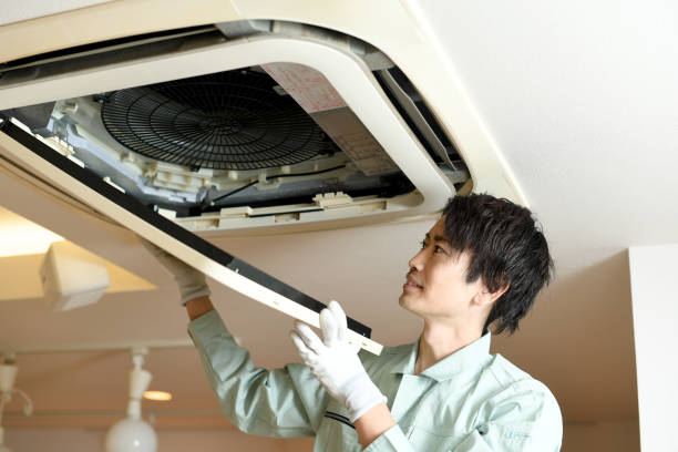 Best Affordable Duct Cleaning Services  in West Little River, FL